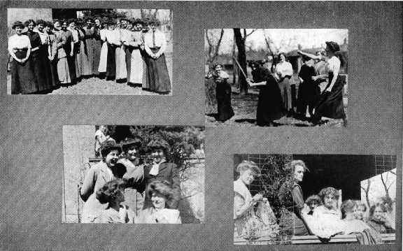 Picture/label or sketch