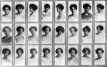 Picture/label or sketch