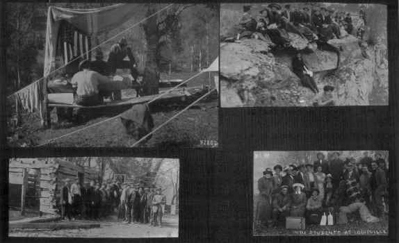 Picture/label or sketch