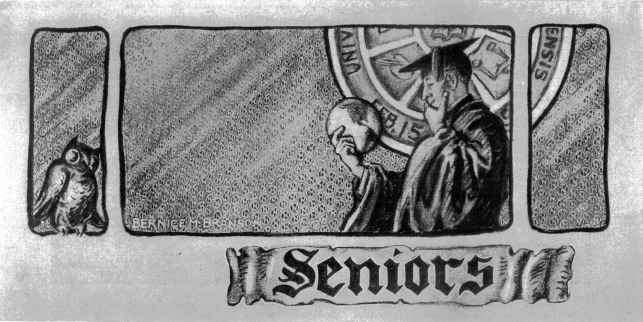 Picture/label or sketch