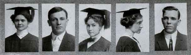 Picture/label or sketch