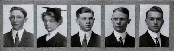 Picture/label or sketch