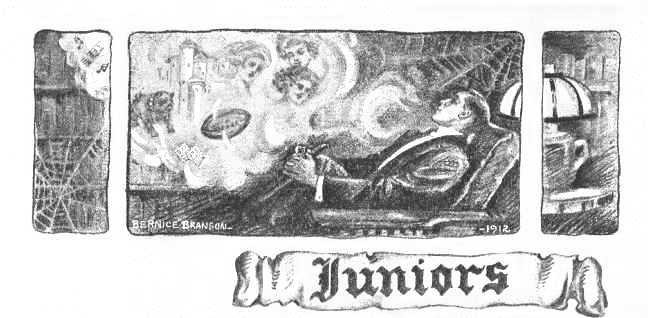 Picture/label or sketch