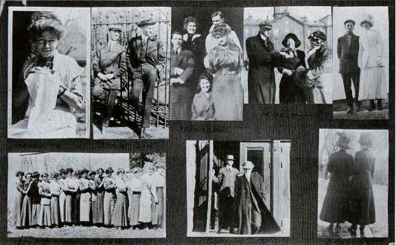 Picture/label or sketch