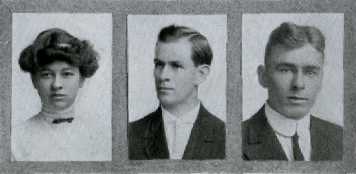 Picture/label or sketch