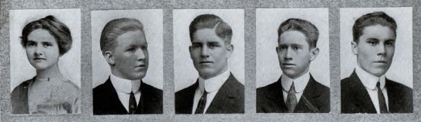 Picture/label or sketch