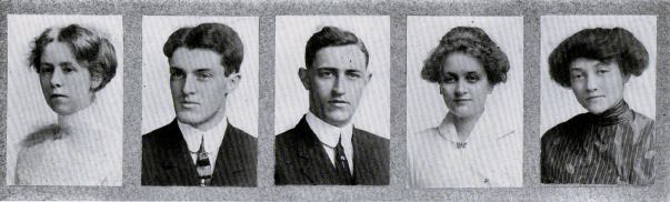 Picture/label or sketch