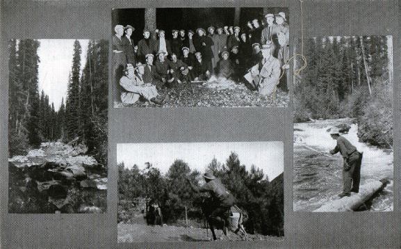 Picture/label or sketch