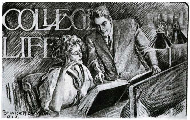 Picture/label or sketch