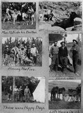 Picture/label or sketch