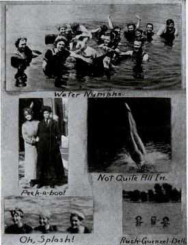 Picture/label or sketch