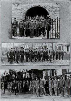 Picture/label or sketch