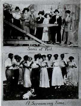 Picture/label or sketch