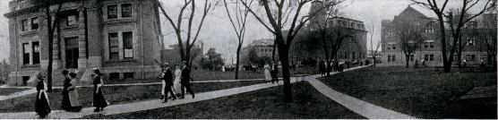 Picture/label or sketch