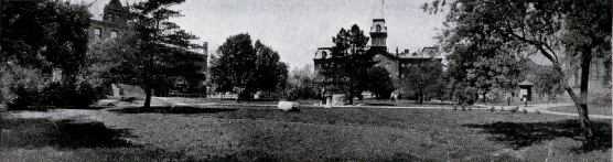 Picture/label or sketch