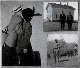 Picture/label or sketch