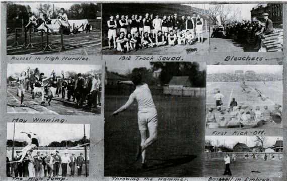 Picture/label or sketch