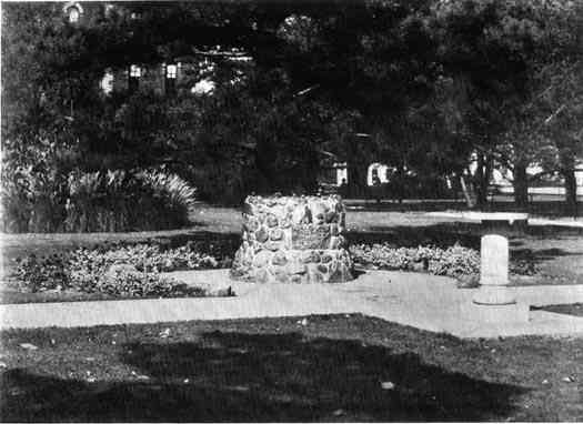 Photograph or Sketch