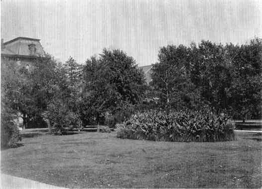 Photograph or Sketch