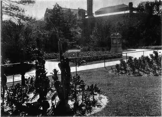 Photograph or Sketch