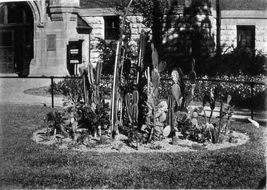 Photograph or Sketch