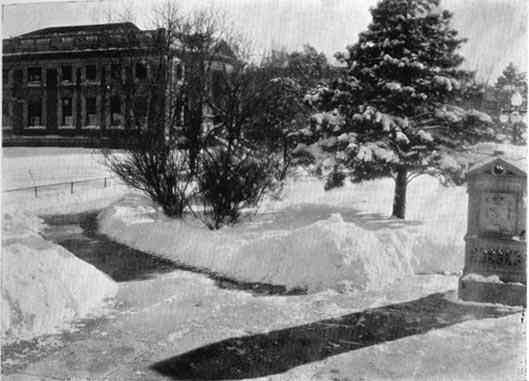 Photograph or Sketch