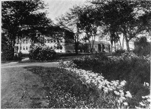 Photograph or Sketch