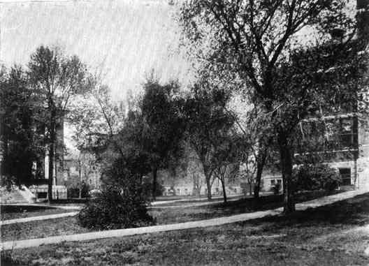 Photograph or Sketch