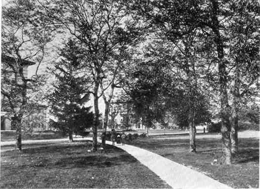 Photograph or Sketch