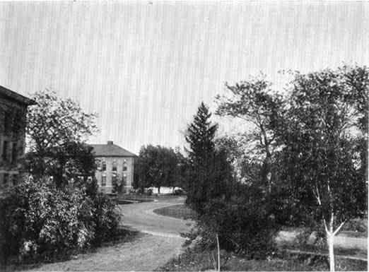 Photograph or Sketch