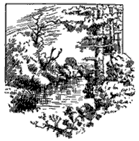 Letter/Sketch or doodle