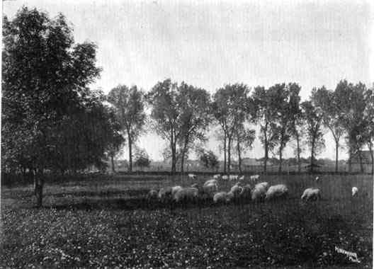 Photograph or Sketch