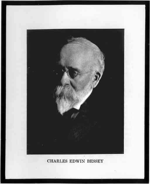 Photograph or Sketch