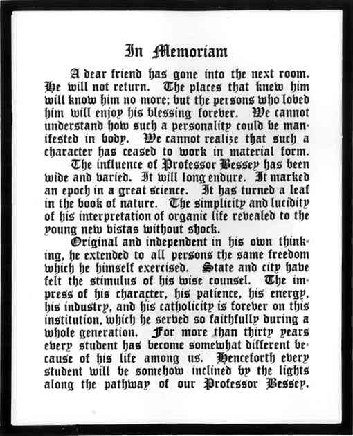 Photograph or Sketch