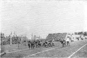 Photograph or Sketch