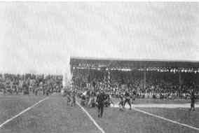 Photograph or Sketch