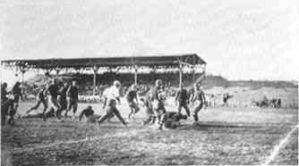 Photograph or Sketch