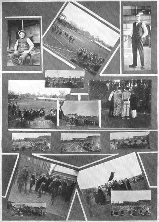 Photograph or Sketch