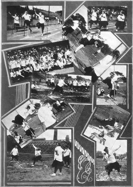 Photograph or Sketch