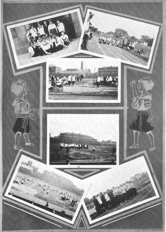 Photograph or Sketch