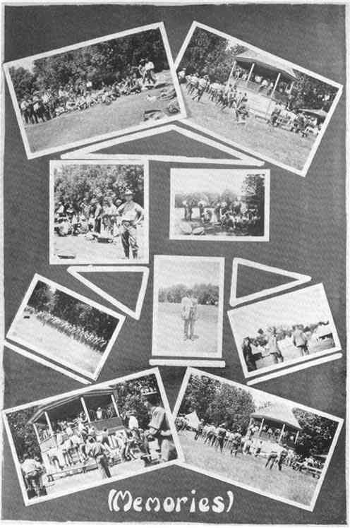 Photograph or Sketch