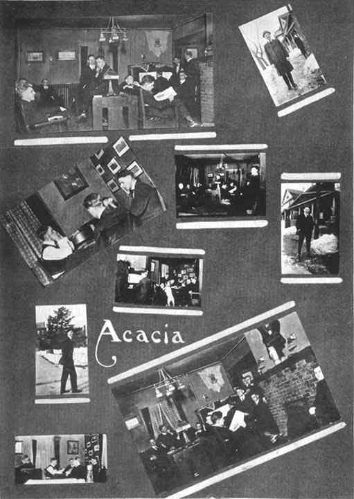 Photograph or Sketch