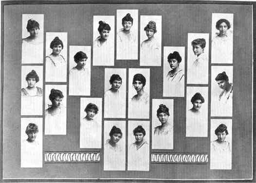 Photograph or Sketch