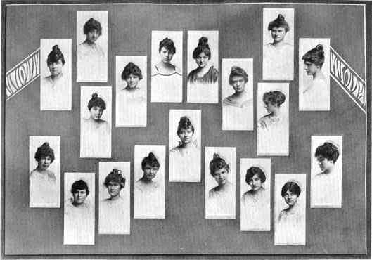 Photograph or Sketch