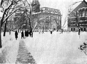 Photograph or Sketch