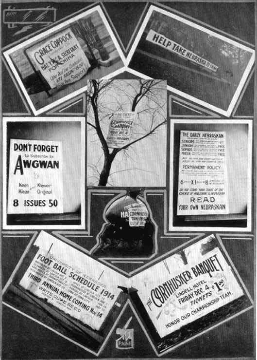 Photograph or Sketch