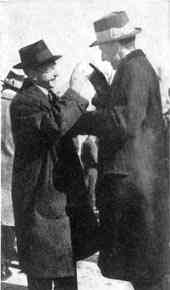 Photograph or Sketch