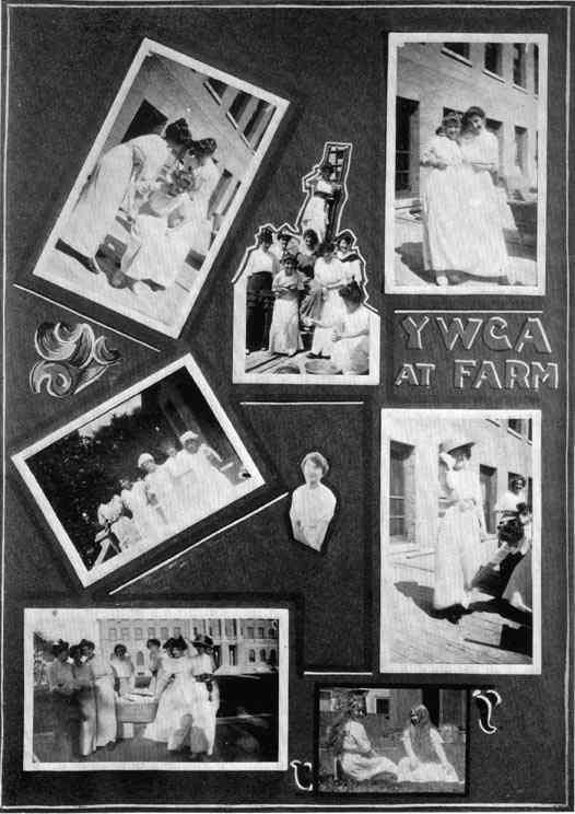 Photograph or Sketch