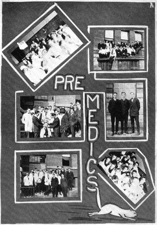 Photograph or Sketch