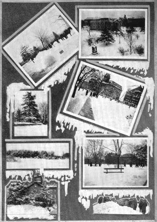 Photograph or Sketch